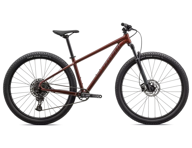 Specialized ROCKHOPPER EXPERT 29 - L,GLOSS RUSTED RED / SATIN RUSTED RED, 2023