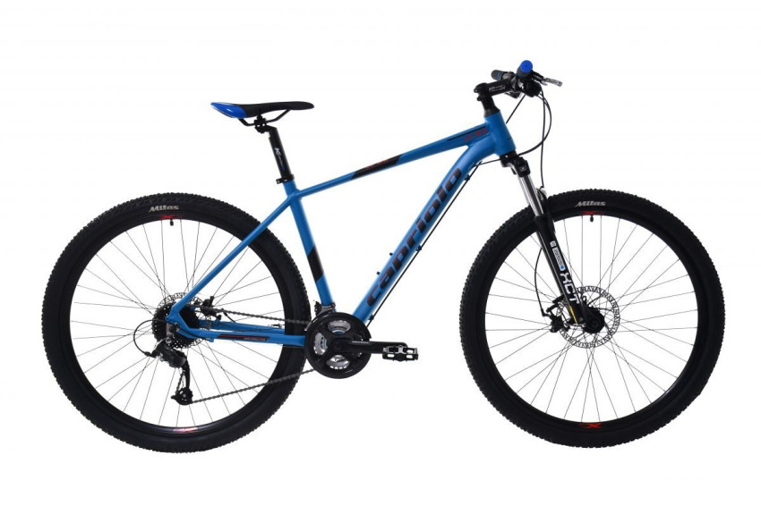 Capriolo LC 9.2 MTB 29"/19AL, Niebieski-czarny, L , 2024