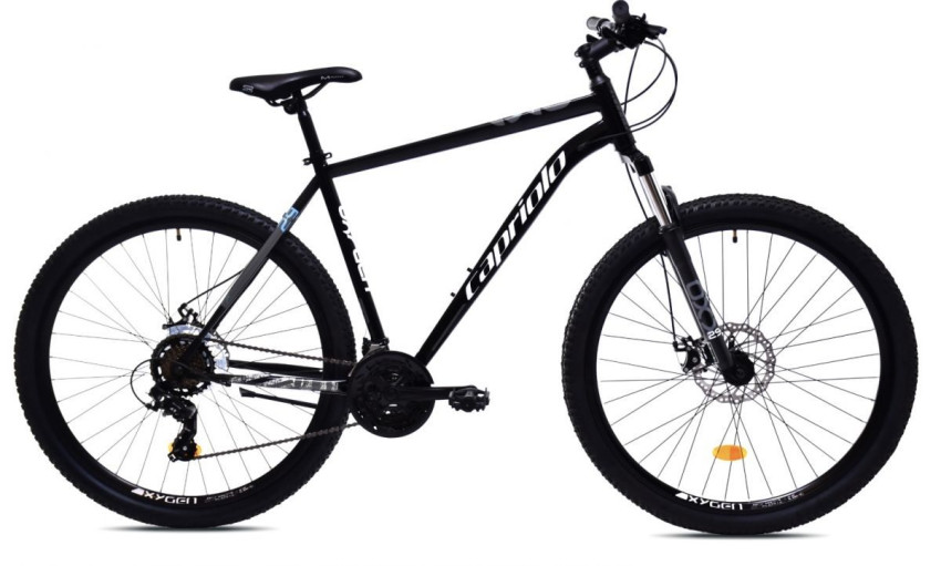 CAPRIOLO OXYGEN 26" - S, black-blue, 2026