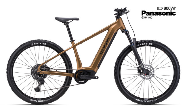 CTM WIRE GX - Matte Gold L (18.5), 2026 