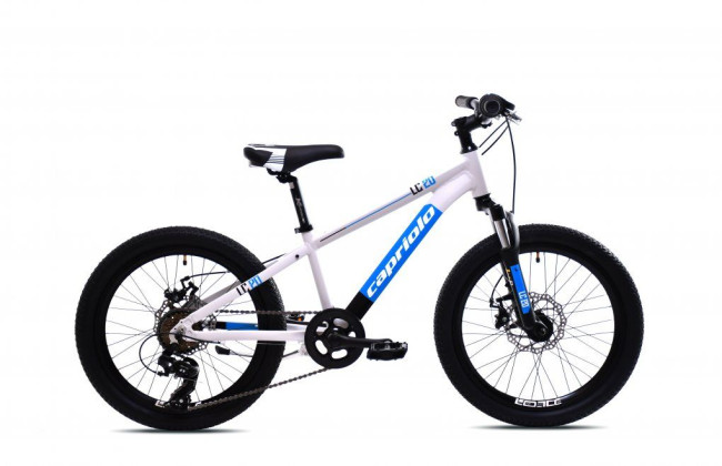 CAPRIOLO MTB LC 20"/AL, sivý, 2025 
